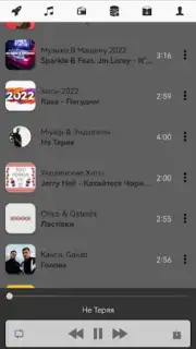 Z2.FM screenshot 2