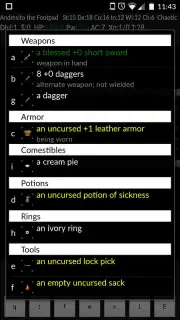NetHack screenshot 8