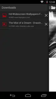 Broloader Video Downloader screenshot 12