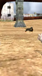 HomelessCat screenshot 4