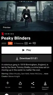 Netflix (Android TV) screenshot 11