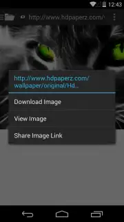 Broloader Video Downloader screenshot 13