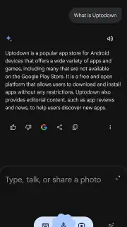 Google Gemini screenshot 13