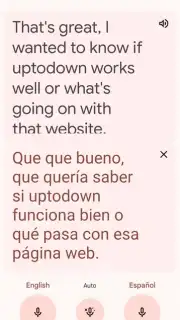 Google Translate screenshot 1