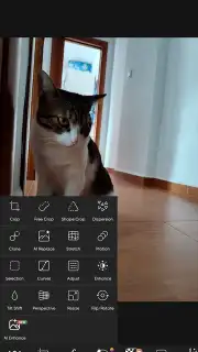 PicsArt screenshot 24