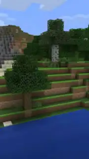 Minicraft: Block Craftarena 3D screenshot 4