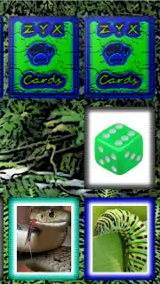 ZYXCards screenshot 1
