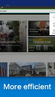 Web Browser screenshot 4