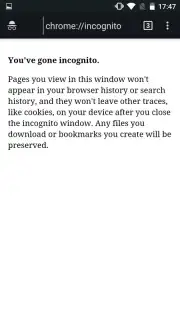 Pyrope Browser screenshot 5