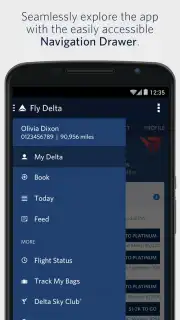 Fly Delta screenshot 8