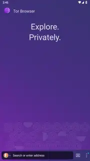 Tor Browser screenshot 21