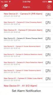 iVMS-4500 screenshot 4