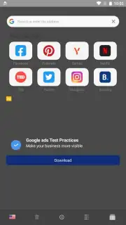 Proxy Browser screenshot 2