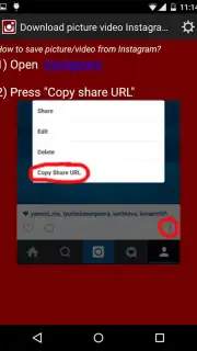 Скачать картинку видео из инстаграм screenshot 1