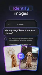 Gemmy AI screenshot 4