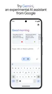 Google Gemini screenshot 5