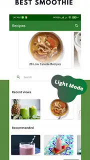 Diet Smoothie Recipes screenshot 8