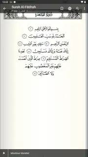 Quran Android screenshot 2