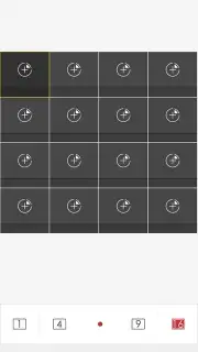 iVMS-4500 screenshot 13