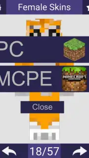 Skins For Minecraft screenshot 3