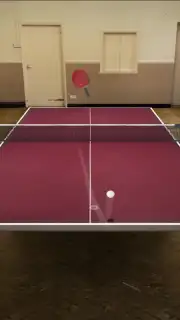 Table Tennis Touch screenshot 8