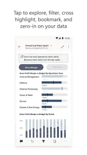 Microsoft Power BI screenshot 3