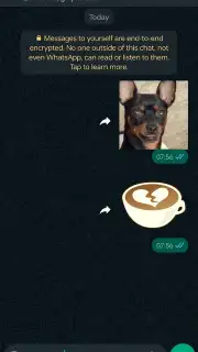 WhatsApp Messenger screenshot 12