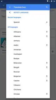 Google Translate screenshot 7