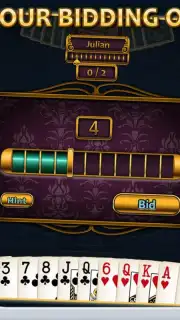 Aces Spades screenshot 13