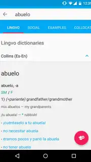 Lingvo Live screenshot 2