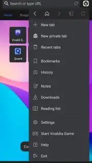 Vivaldi screenshot 17