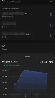 Tailscale screenshot 5