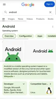 Firefox screenshot 3