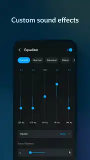 Lark Player - MP3 Music Player screenshot 5