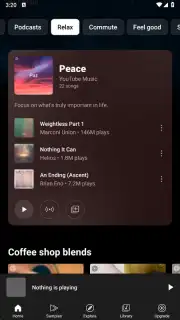 YouTube Music screenshot 13