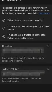 Tailscale screenshot 13