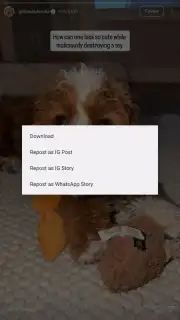 InstaPrime screenshot 2