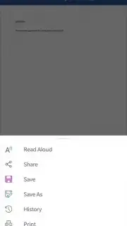 Microsoft Word screenshot 14