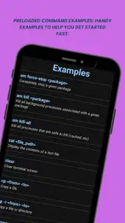 aShell screenshot 3
