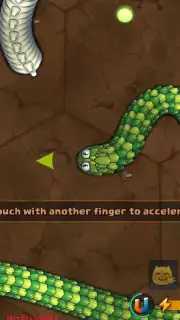 Little Big Snake screenshot 8
