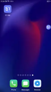 F1 VM screenshot 4