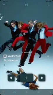 RiMusic screenshot 8