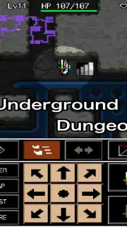 Rogue Hero screenshot 5