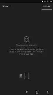 Opera Mini beta screenshot 5