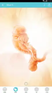 Pregnancy + screenshot 16