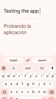 Google Translate screenshot 13