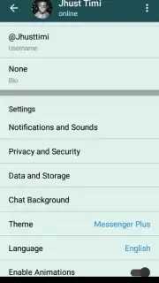 Messenger Plus screenshot 6