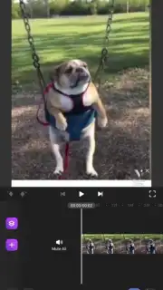Motion Ninja screenshot 6