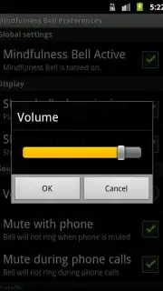 Mindfulness Bell screenshot 1
