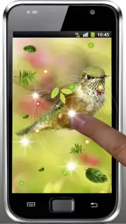 Colibri Spring 3D LWP screenshot 1